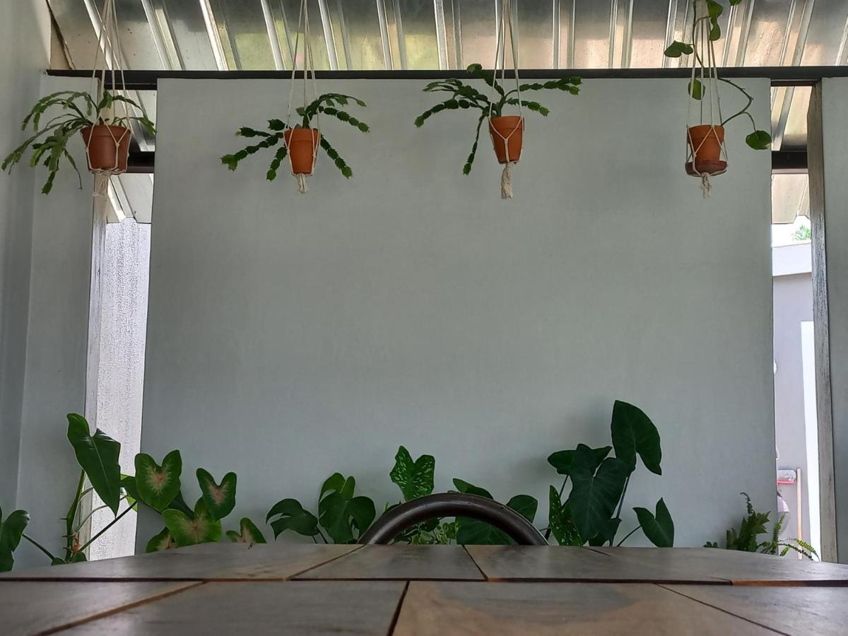 Urban Farm Haus Guesthouse Rundu Exteriör bild